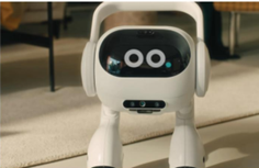 image of AI companion robot